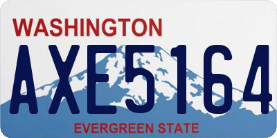 WA license plate AXE5164