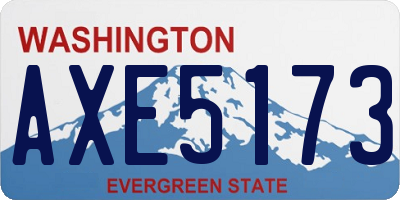 WA license plate AXE5173