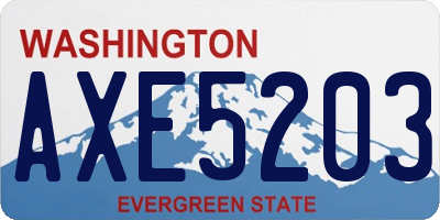 WA license plate AXE5203