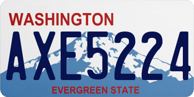 WA license plate AXE5224