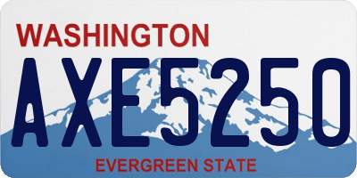 WA license plate AXE5250
