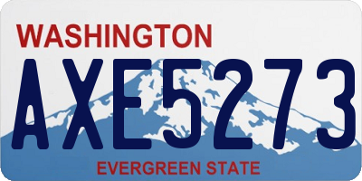 WA license plate AXE5273