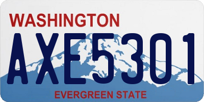 WA license plate AXE5301