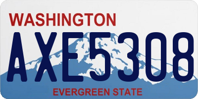 WA license plate AXE5308