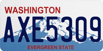 WA license plate AXE5309