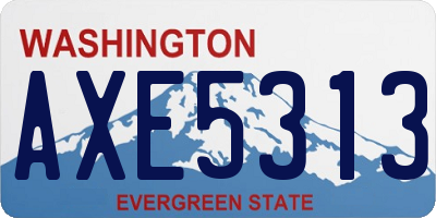 WA license plate AXE5313