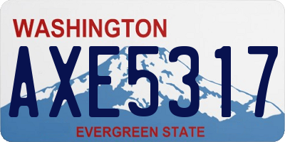 WA license plate AXE5317