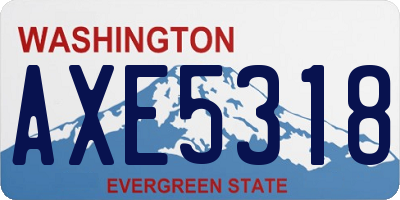 WA license plate AXE5318