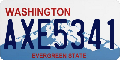 WA license plate AXE5341
