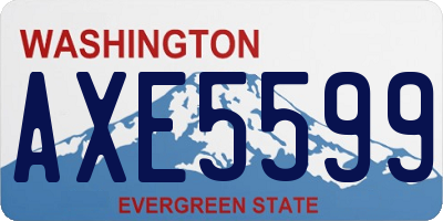 WA license plate AXE5599