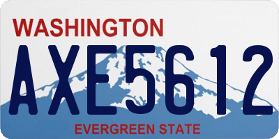 WA license plate AXE5612