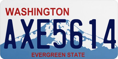 WA license plate AXE5614