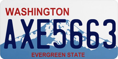 WA license plate AXE5663