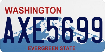WA license plate AXE5699