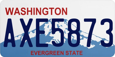 WA license plate AXE5873