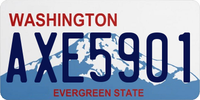 WA license plate AXE5901