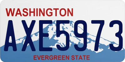 WA license plate AXE5973