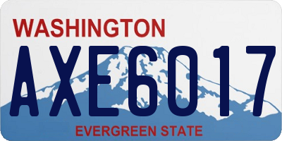 WA license plate AXE6017