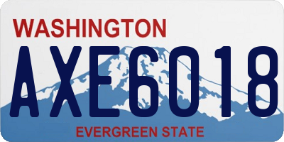 WA license plate AXE6018