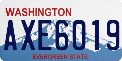 WA license plate AXE6019