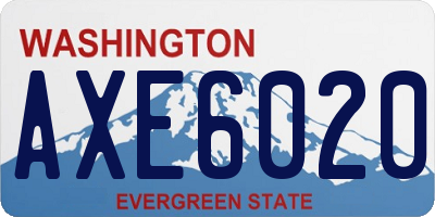 WA license plate AXE6020