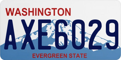 WA license plate AXE6029