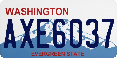 WA license plate AXE6037