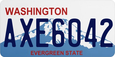 WA license plate AXE6042