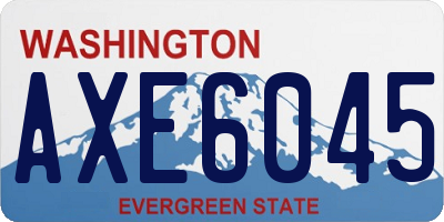 WA license plate AXE6045