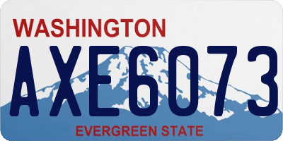 WA license plate AXE6073
