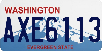 WA license plate AXE6113