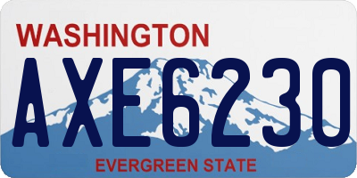 WA license plate AXE6230