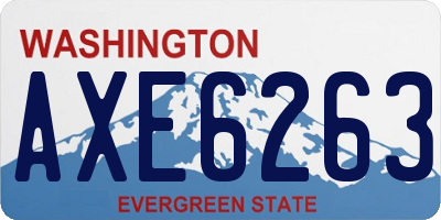 WA license plate AXE6263