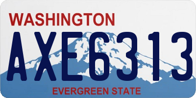 WA license plate AXE6313