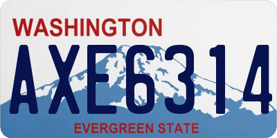 WA license plate AXE6314