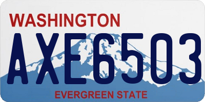 WA license plate AXE6503