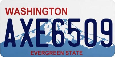 WA license plate AXE6509