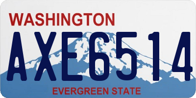 WA license plate AXE6514