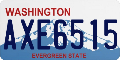 WA license plate AXE6515