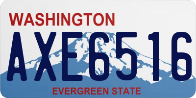 WA license plate AXE6516