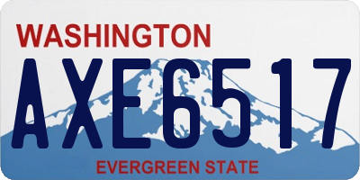 WA license plate AXE6517