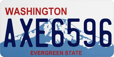WA license plate AXE6596