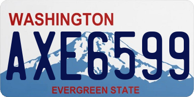 WA license plate AXE6599