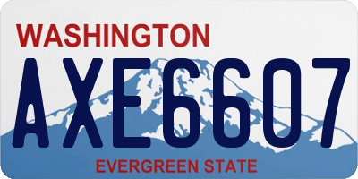 WA license plate AXE6607