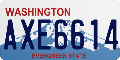 WA license plate AXE6614