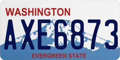 WA license plate AXE6873