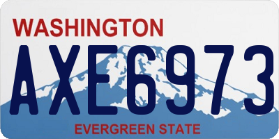 WA license plate AXE6973