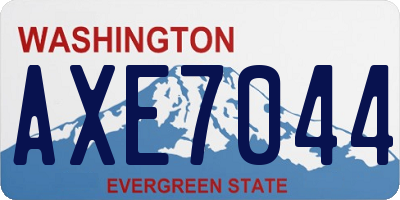 WA license plate AXE7044