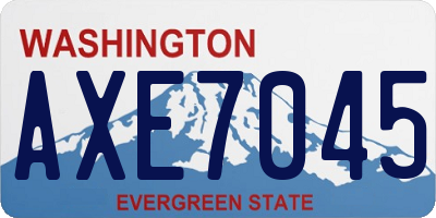 WA license plate AXE7045