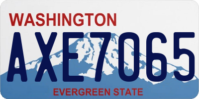 WA license plate AXE7065